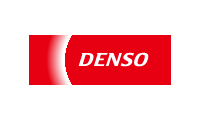 DENSO solution